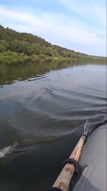 НЕ КРЯКАЙ, ОТПУСКАЮ. смотреть онлайн