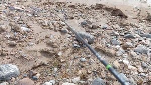 краткий обзор Kaida Poetic 0.1-2 гр.