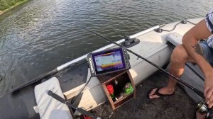 Ока. Сом на Квок в Рязани.