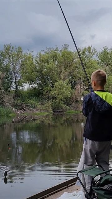 пшеница лучше мотыля. #viral #рыбалка #fishing #top #рыбаки #рыб?