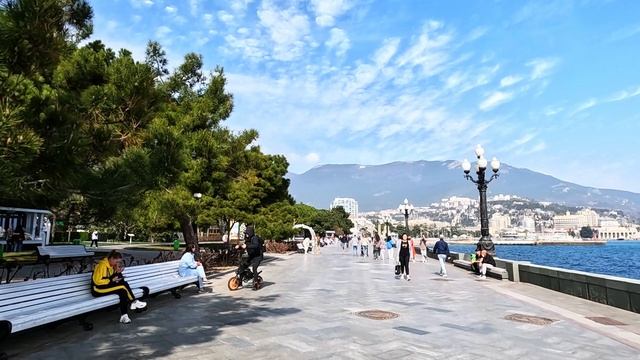 ▶️ Прогулка к морю и собакам Ялта набережная Крым весной
