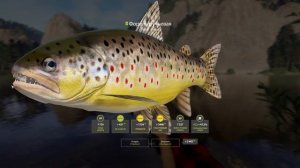 РР4 НГ ч.7 - Точка клёва р. Белая - Форель, Хариус, Сиг-Пыж?