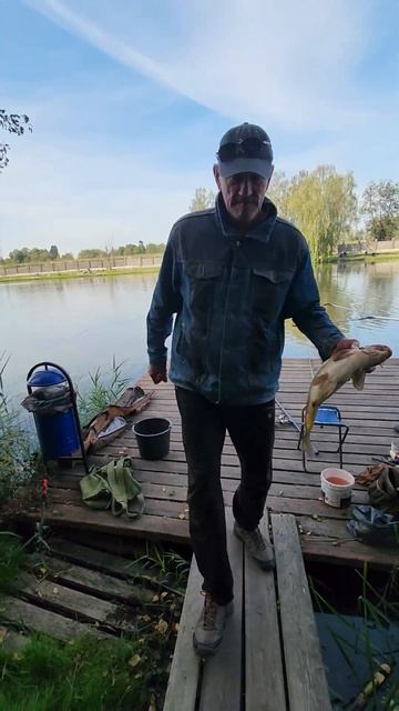 Поимка карпа в рыболовном клубе Марлин #fishing #карп #рыб? смотреть онлайн