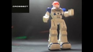 Робот Смартбот, ИК-управление пультом, управление жестами, скользит, шагает, программирование