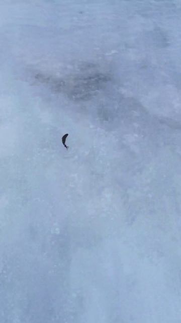 Отпускаем окуня в марте со льда) смотреть онлайн