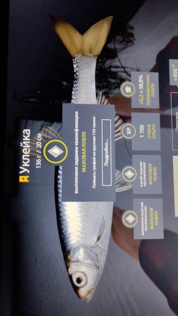 Координаты 72:85 наживка мотыль игра русская рыбалка 4 смотреть онлайн