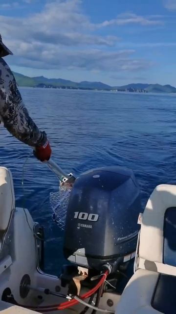 🎣Рыбалка в экипировке от King Hunter – это всегда + 100 к уда смотреть онлайн