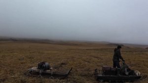 Охота на дикого оленя в Северной Якутии