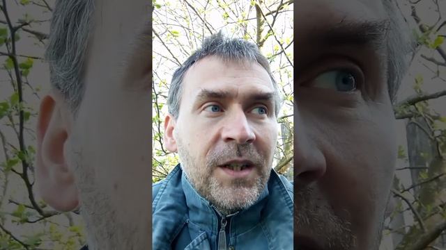 Откуда такие средние зарплаты? Подмена понятий. Некор? смотреть онлайн