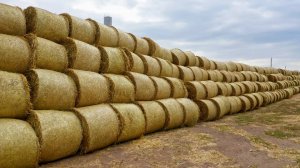 Презентационный ролик - «АЛЬФАРО ПРО»