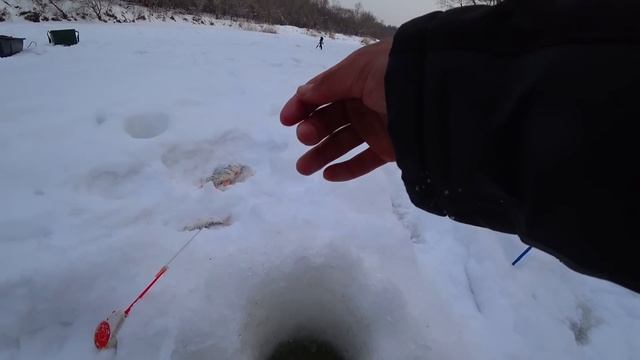 ТАКОГО КЛЁВА Я НЕ ЖДАЛ! ПОКЛЕВКИ КАЖДУЮ ПРОВОДКУ! Рыба? смотреть онлайн