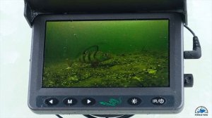 "Камера Murena Mini" для идеальной зимней рыбалки