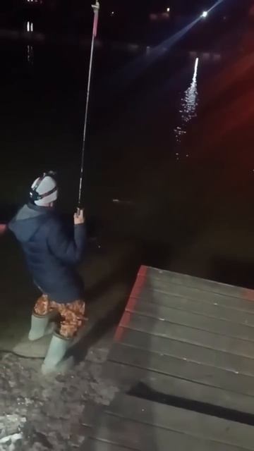 Вечерняя поклевка в Дулово #отдыхдлядуши #платник #рыб смотреть онлайн