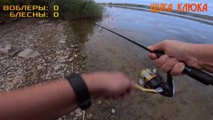 🔥 ВОБЛЕР или БЛЕСНА (часть 1)? Что выберет щука в авгус?