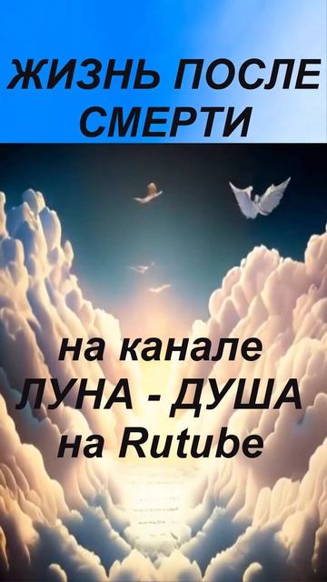 ЖИЗНЬ после СМЕРТИ SHORTS nde 2024 #nde #жизньпослесмерти смотреть онлайн