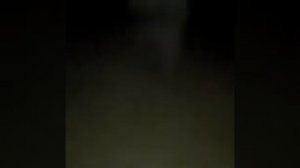 Это Я Шамиль (жмых)