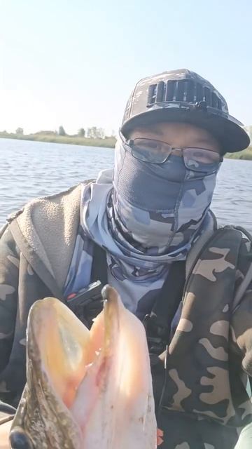 Ито Шайнер щукоголик... Опять выручает.. #эльдорадофиши смотреть онлайн