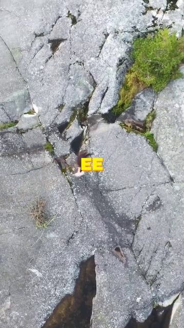 как установить палатку? #палатка #выходные #путешестви смотреть онлайн