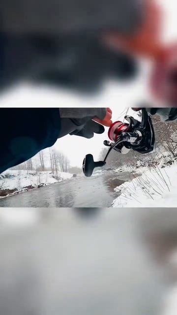 Поклёвка кумжи/meriforell püüdnud/ #кумжа #salmon #seatrout #estonia #отды? смотреть онлайн