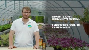 Органик Микс Эликсир №1 Осенний