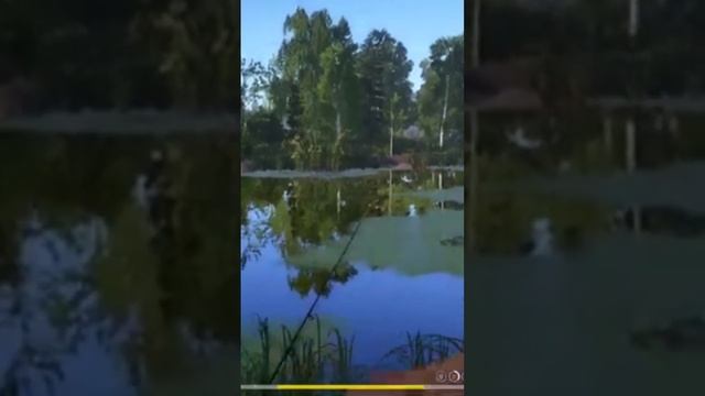 Черный Амур 🐠🐋🐟залетел под утро смотреть онлайн