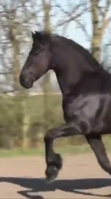 А какая у вас самая заветная мечта детства ? 💭 смотреть онлайн