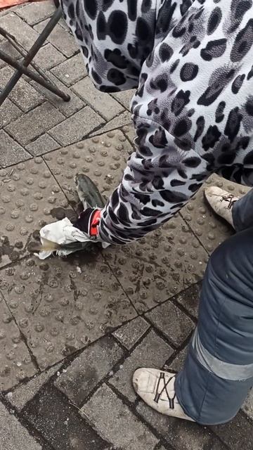 Туапсе,рыбалка))