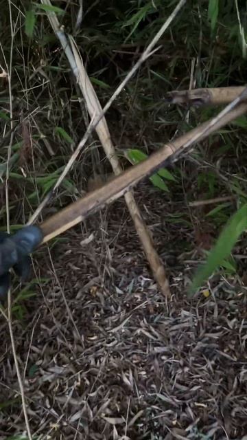 Производство удочек 👍 смотреть онлайн