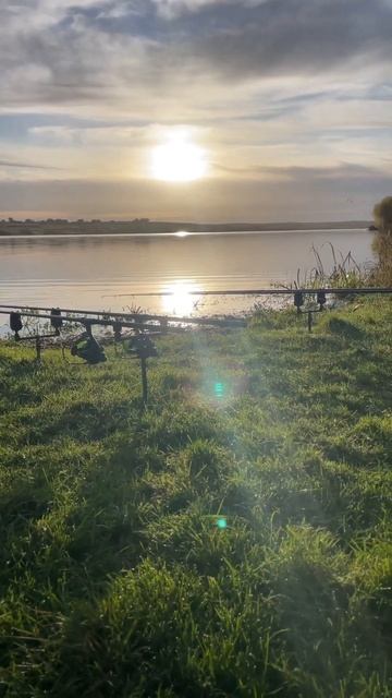 AUTUM FISHERMAN #рибалка2023 #carpfishing2023 #fox #shimano #spomb #удилище #food #к смотреть онлайн