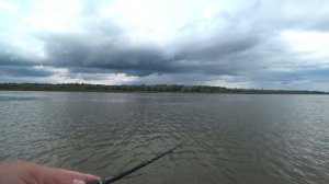 Рыбалка на спиннинг на реке Обь в августе