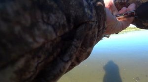 Рыбалка на спиннинг с берега на реке Обь