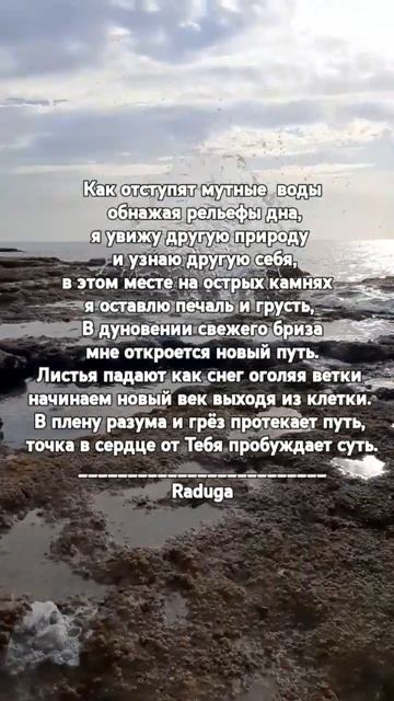"новая заря" #музыка #поэтично #love смотреть онлайн