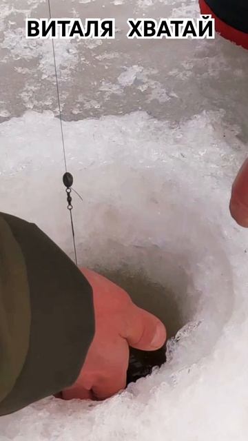 Подробности в фильме Архангельск 20.24 смотреть онлайн