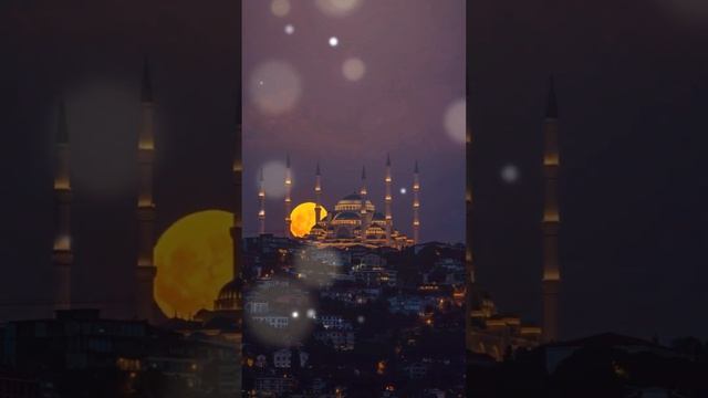 ВКУС ГРАНАТА   @eliza18091  #музыка#music  ✨💫✨💫✨🎶🎶🌙💖 смотреть онлайн