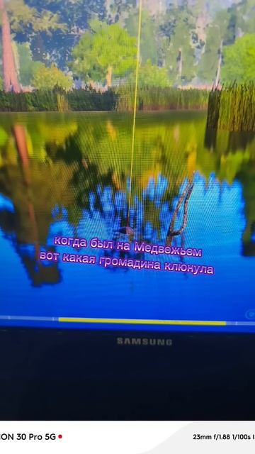 #рр4 #rr4 #рыба #русскаярыбалка4 #fishing #рыбалка #carpfishing #аму? смотреть онлайн