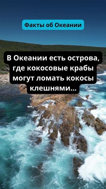 В Океании есть острова, где кокосовые крабы могут лома смотреть онлайн