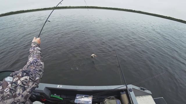 #2 Нарьян-Мар. ГДЕ ОЛЕНИ И РЫБА - ГЛАВНОЕ СОКРОВИЩЕ. РЫБА смотреть онлайн