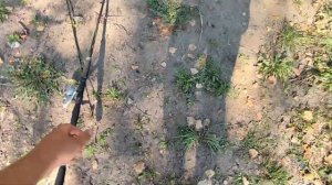 ЩУКА НА ЖИВЦА! Закидушки на Щуку ! Рыбалка с Лодки!