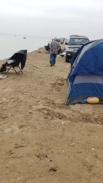 11 ноября 2023 г. смотреть онлайн