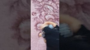 как раскрутить гиробол,павербол,тренажер для кисти