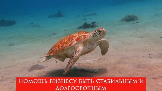 БСБ Банк предлагает помощь бизнесу!