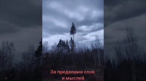 За пределами слов и мыслей Роберт Адамс