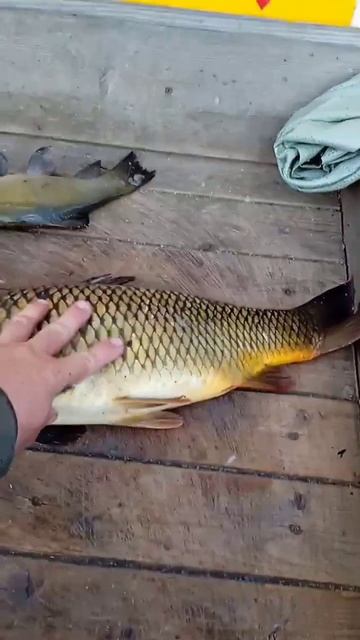 Итог рыбалка в Ледово смотреть онлайн