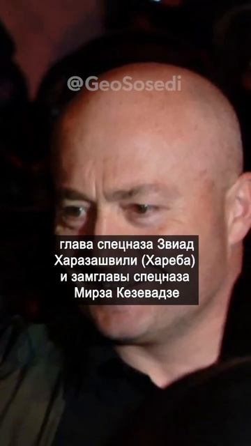 Чехия запретила въезд главе полиции Грузии, начальник смотреть онлайн