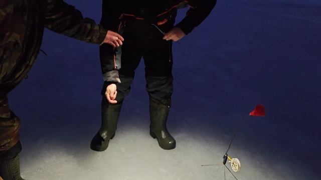 Щучье Эльдорадо. Клюет как из пулемёта. Жерлицы 2025.