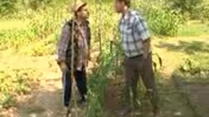 Прикол про соседей