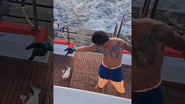 Старик и море. смотреть онлайн