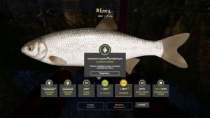 Русская рыбалка 4 Елец река Белая