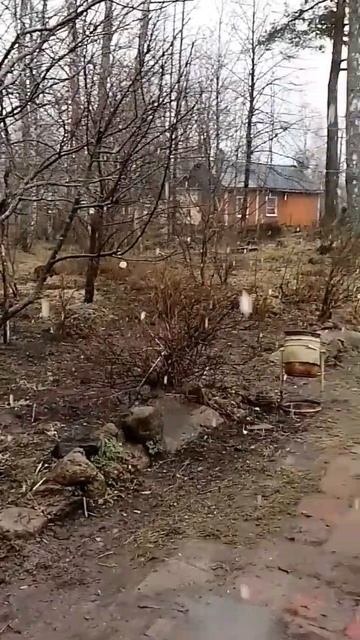 Вот такая сегодня погода в Ленинградской области смотреть онлайн