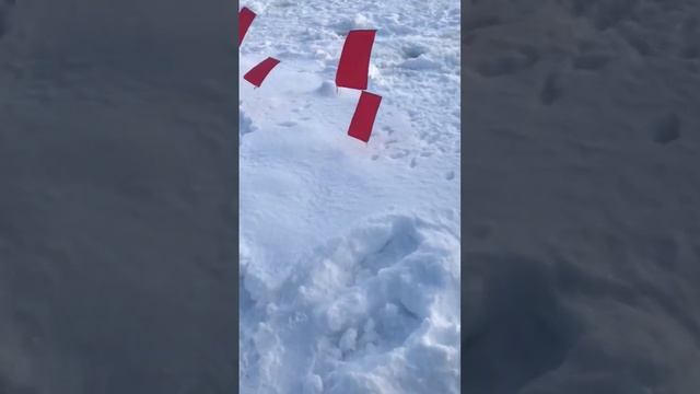 11 февраля зарыбление прошло успешно и красиво от рыба? смотреть онлайн